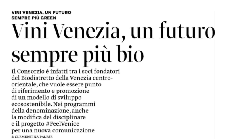 Articolo Corriere Vinicolo